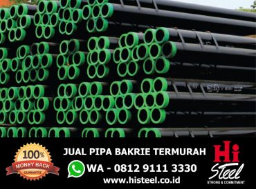 Pipa Bakrie